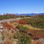 輪行で行く、紅葉の乗鞍ヒルクライム（乗鞍高原～畳平～平湯）