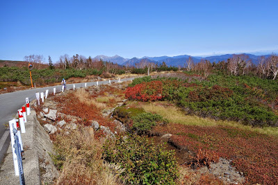 輪行で行く、紅葉の乗鞍ヒルクライム（乗鞍高原～畳平～平湯）