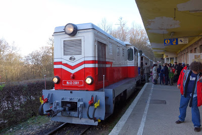 セーチェニ山からブダペスト市内を見下ろす子供鉄道