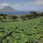 お手軽亜熱帯　八丈島ヒルクライムと島内一周（後編）