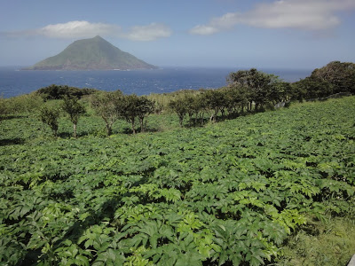 お手軽亜熱帯　八丈島ヒルクライムと島内一周（後編）