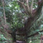 古道の旅「大船高野の切通し（高野台　長窪）」