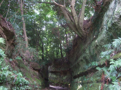 古道の旅「大船高野の切通し（高野台　長窪）」