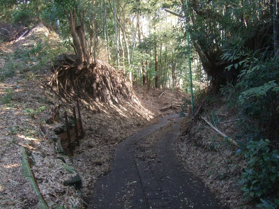 境川CR周辺の激坂群を自転車で登ってみた(境川河岸段丘)