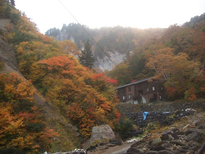 紅葉真っ盛りの姥湯林道線ヒルクライム