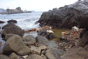 式根島　山海の湯(ふなりっと温泉)